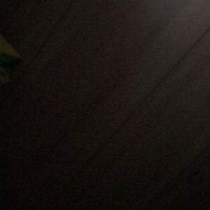 Meet your Posher, Gerry